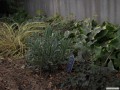 DSCN3491