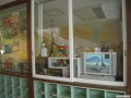DSCN3503
