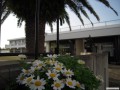 DSCN3565