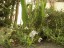 2018_Mar_flowers3944