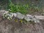 2019_Spring07516