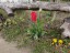 2019_Spring07537