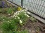 2019_Spring07564